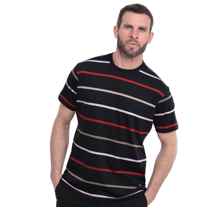 Striped men's t-shirt, short sleeves, navy